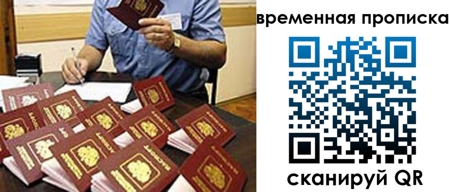 прописка для школы в Волоколамске